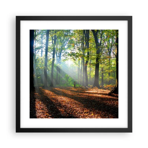 Poster in einem schwarzem Rahmen - Licht und Schatten - 40x40 cm