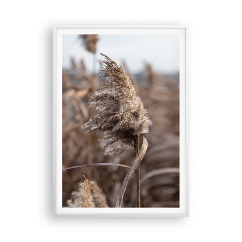 Poster in einem weißen Rahmen - Zeit, mit dem Wind zu gehen - 70x100 cm