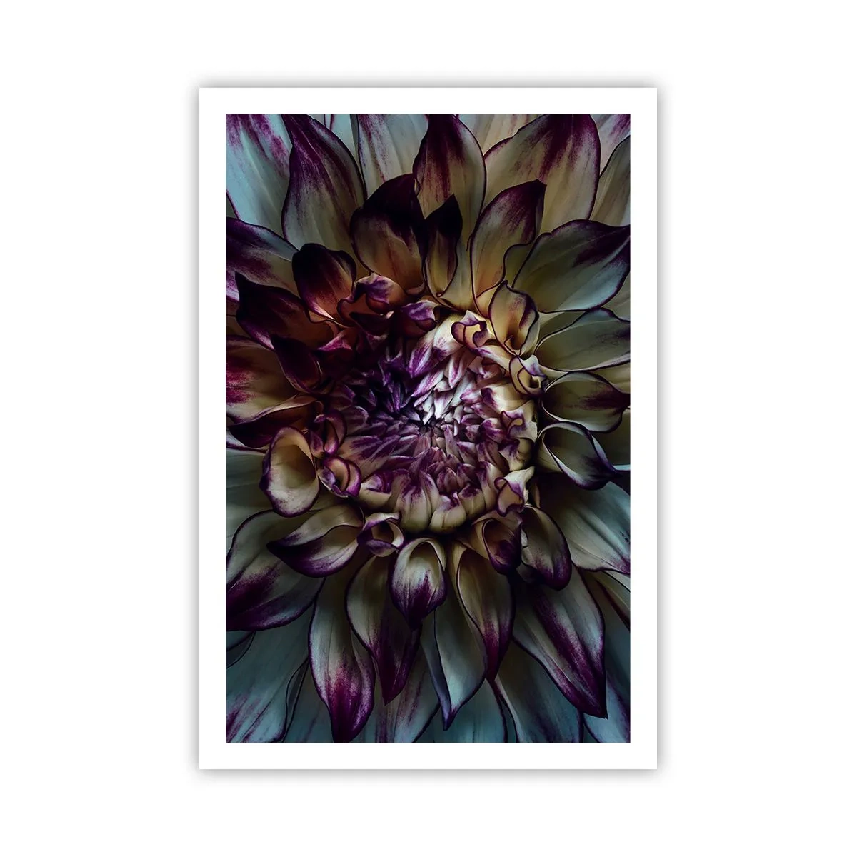 Poster - Die Blütezeit der Jugend - 61x91 cm