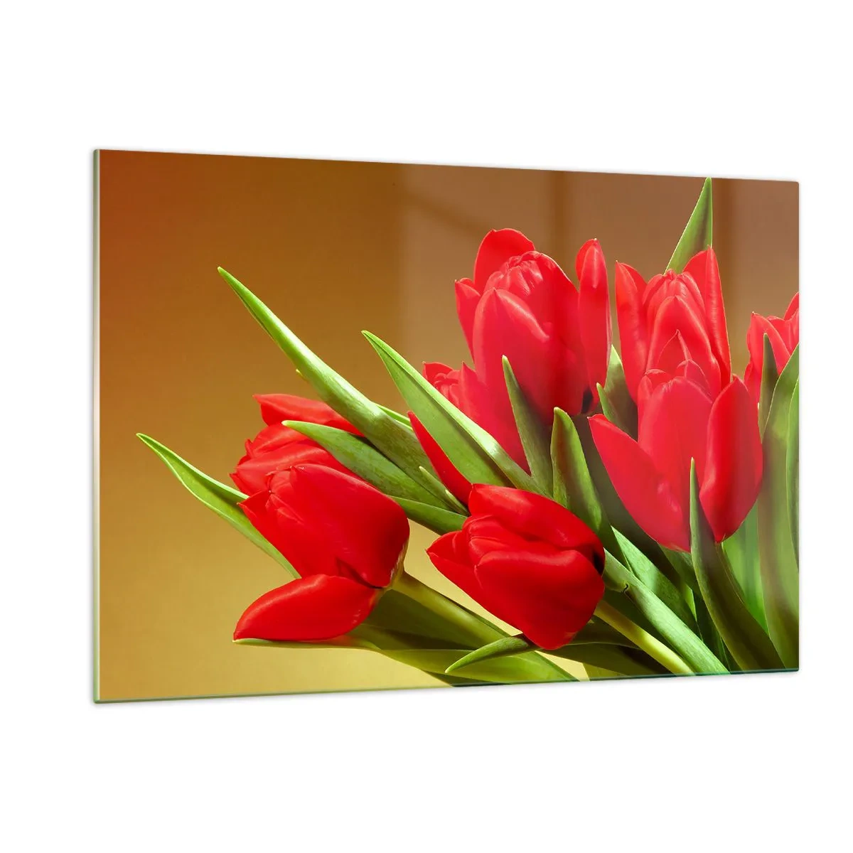 Glasbild - Bild auf glas - Ein Strauß roter Tulpen auf goldenem Hintergrund - 120x80cm - Ein Haufen Frühlingsfreude - Moderne Wanddekoration für Wohnzimmer und Schlafzimmer ARTTOR