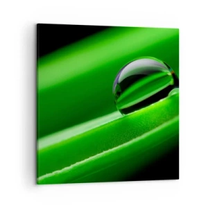 Bild auf Leinwand - Leinwandbild - Leben hautnah - 50x50 cm