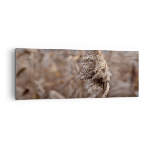 Bild auf Leinwand - Leinwandbild - Zarte Gräser in Beigetönen vor dem Hintergrund der Natur - 140x50cm - Zeit, mit dem Wind zu gehen - Moderne Wanddekoration für Wohnzimmer und Schlafzimmer ARTTOR