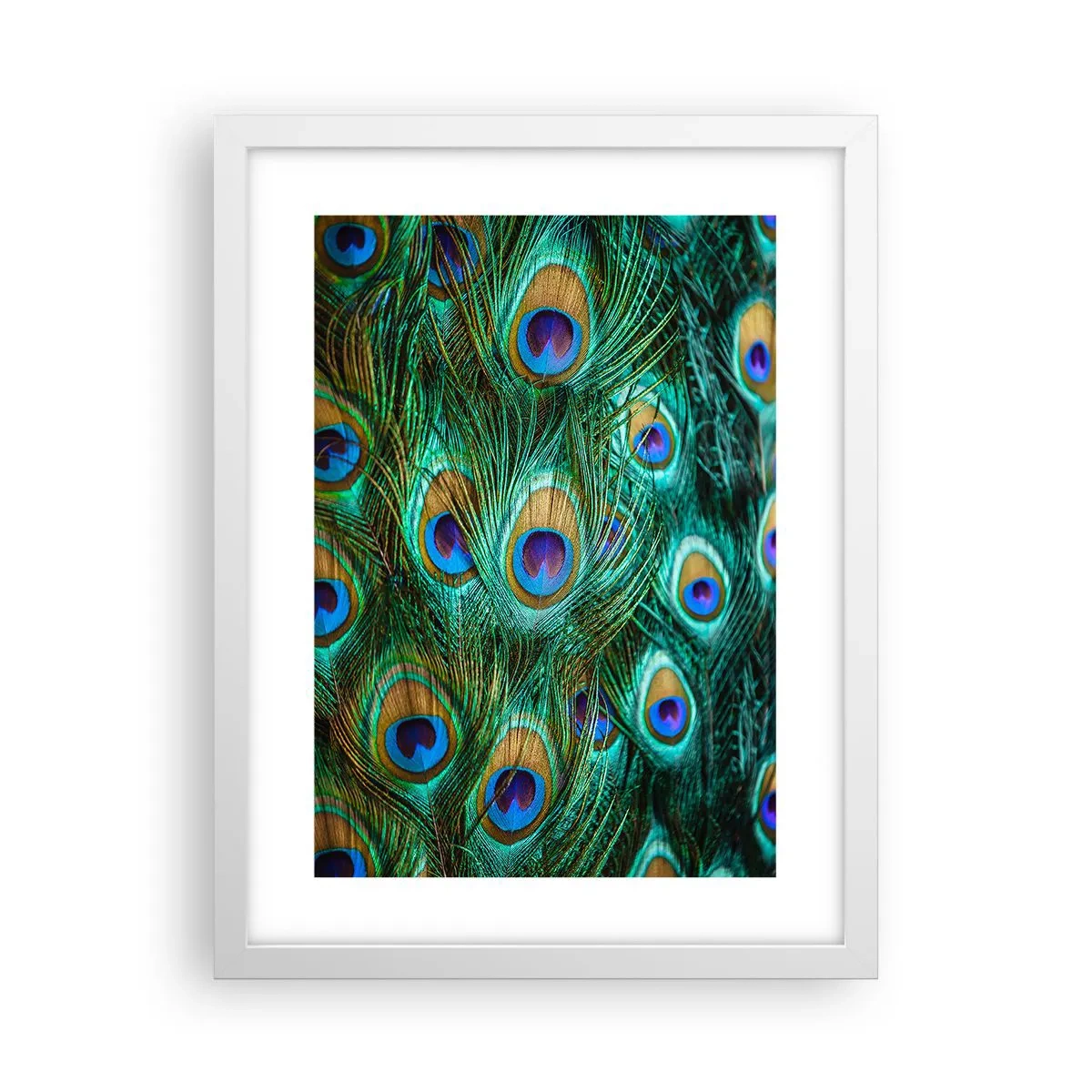Poster in einem weißen Rahmen - Ein Blick mit Pfauenaugen - 30x40 cm