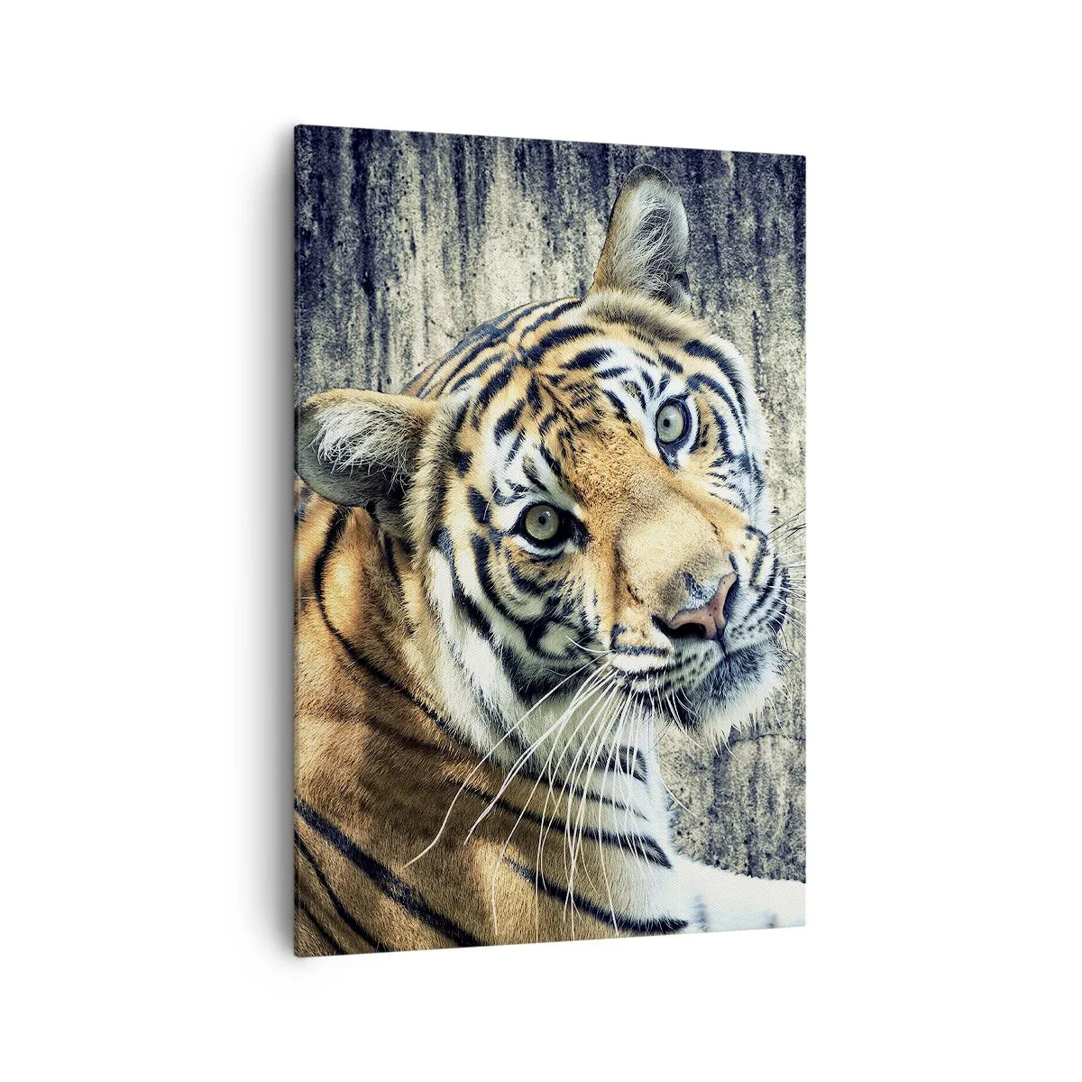 Bild auf Leinwand - Leinwandbild - Ein Tiger liegt an einer rauen Wand - 70x100cm - Portrait in Lichtstrahlen - Moderne Wanddekoration für Wohnzimmer und Schlafzimmer ARTTOR