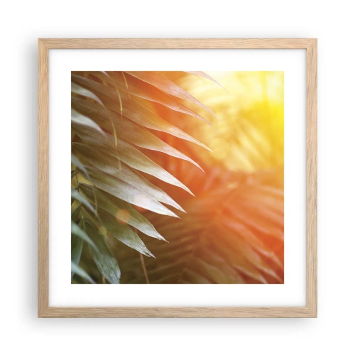 Poster in einem Rahmen aus heller Eiche - Morgen im Dschungel - 40x40 cm