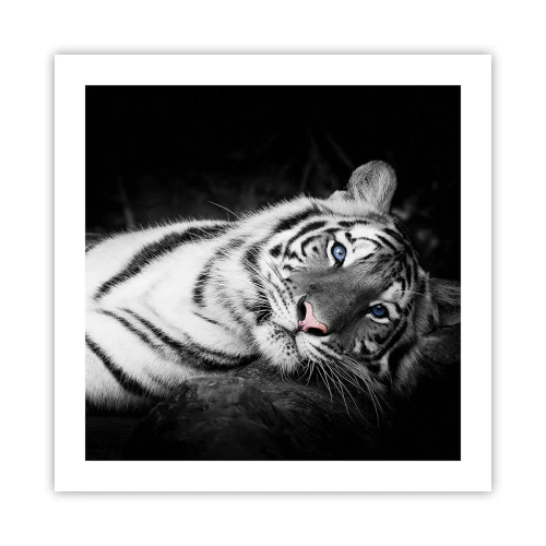 Poster - Wildnis und Frieden - 50x50 cm