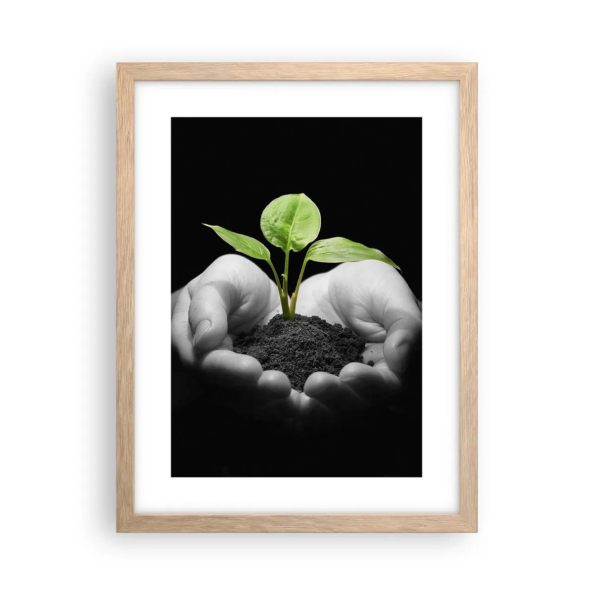 Poster in einem Rahmen aus heller Eiche - Ich liebe die Natur, ich beschütze sie - 30x40 cm