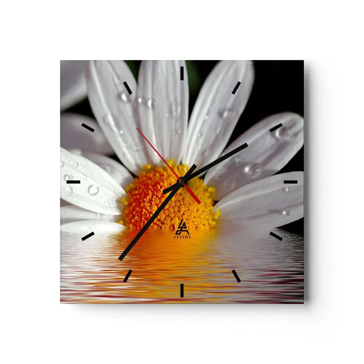 Wanduhr - Glasuhr - Ein weißes Gänseblümchen mit Wassertropfen, eingetaucht in eine Wasserspiegelung - 30x30cm - Die aufgehende Sonne der Gänseblümchen - Moderne Wanddekoration für Wohnzimmer und Schlafzimmer ARTTOR