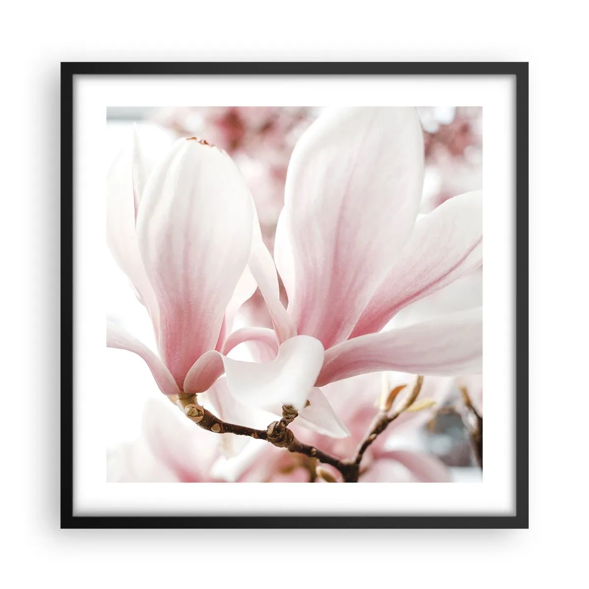 Poster in einem schwarzem Rahmen - Eine Fülle von Zärtlichkeit - 50x50 cm