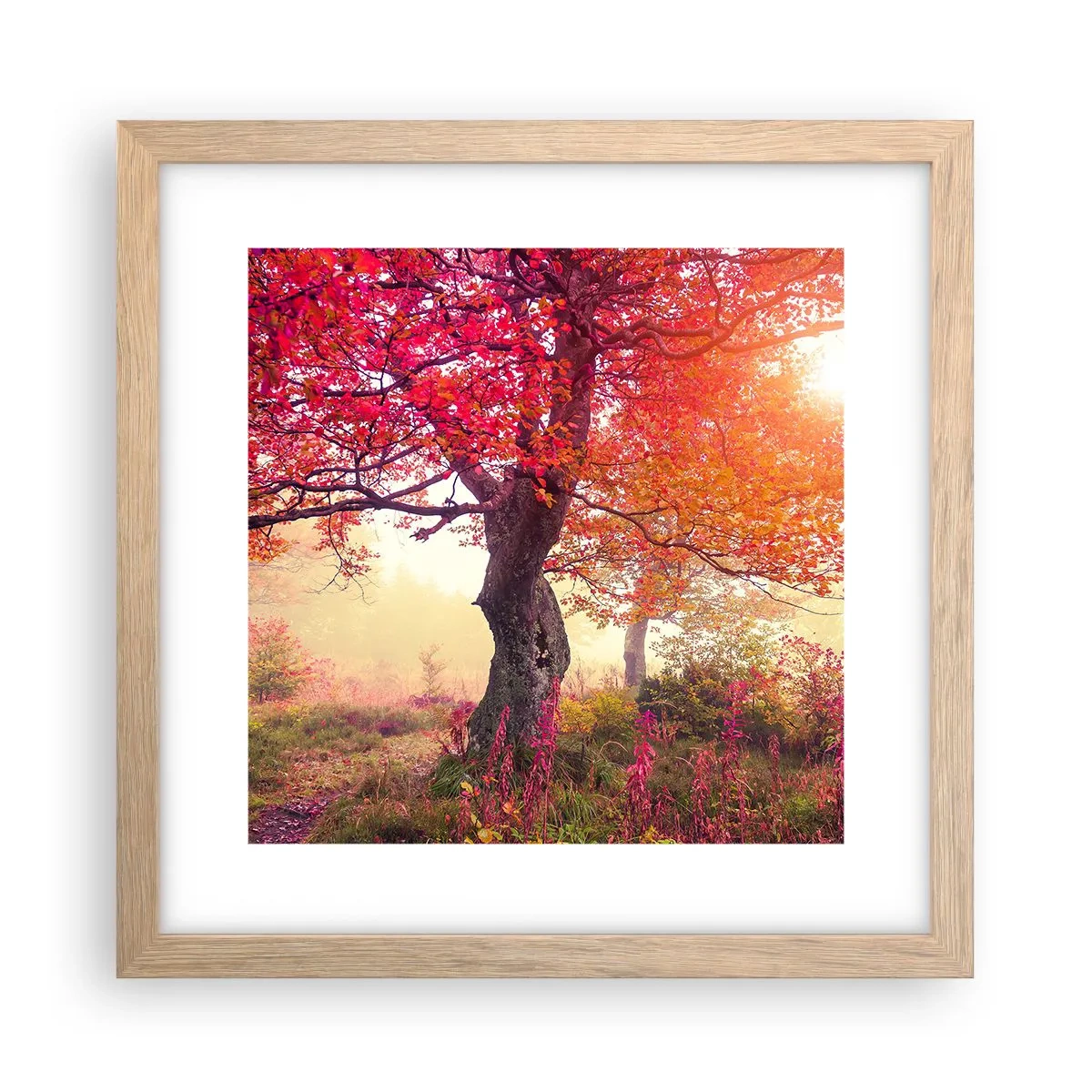 Poster in einem Rahmen aus heller Eiche - Blühende Raserei - 30x30 cm