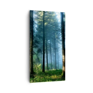 Bild auf Leinwand - Leinwandbild - Strahlend am Morgen - 55x100 cm