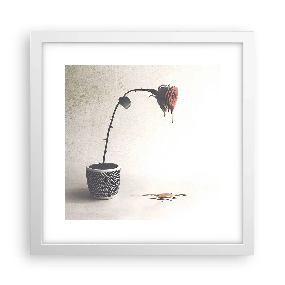 Poster in einem weißen Rahmen - Rosa dolorosa - 30x30 cm