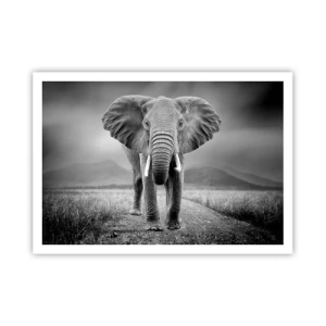 Poster - Ein mächtiger Elefant in der Savanne in monochromen Tönen - 100x70cm - Der Gastgeber heißt willkommen - Moderne Wanddekoration für Wohnzimmer und Schlafzimmer ARTTOR