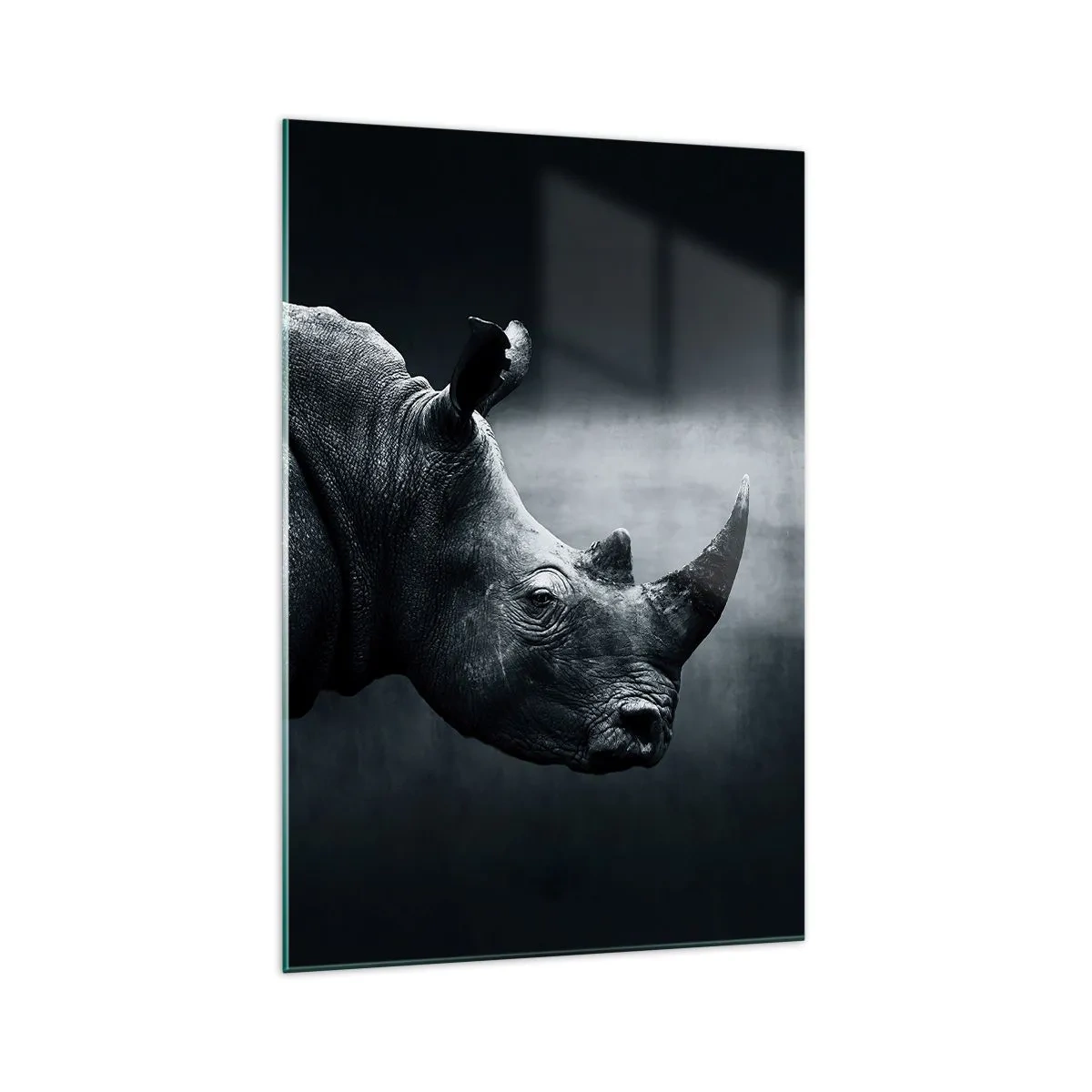 Glasbild - Bild auf glas - Schwarz-Weiß-Porträt eines Nashorns vor dunklem Hintergrund - 70x100cm - Richtiges Profil - Moderne Wanddekoration für Wohnzimmer und Schlafzimmer ARTTOR