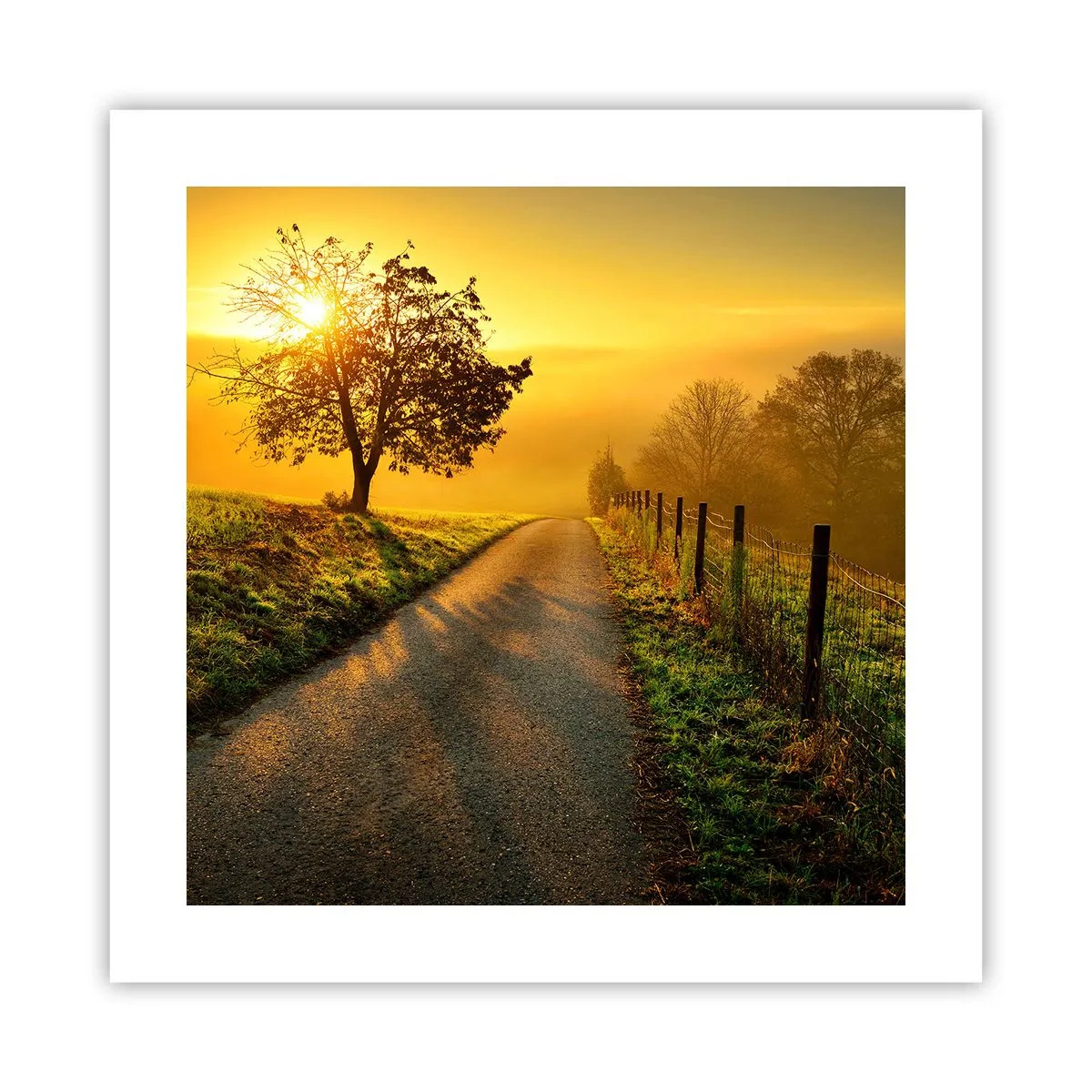 Poster - Honig-Nachmittag - 40x40 cm