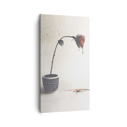 Bild auf Leinwand - Leinwandbild - Rosa dolorosa - 45x80 cm