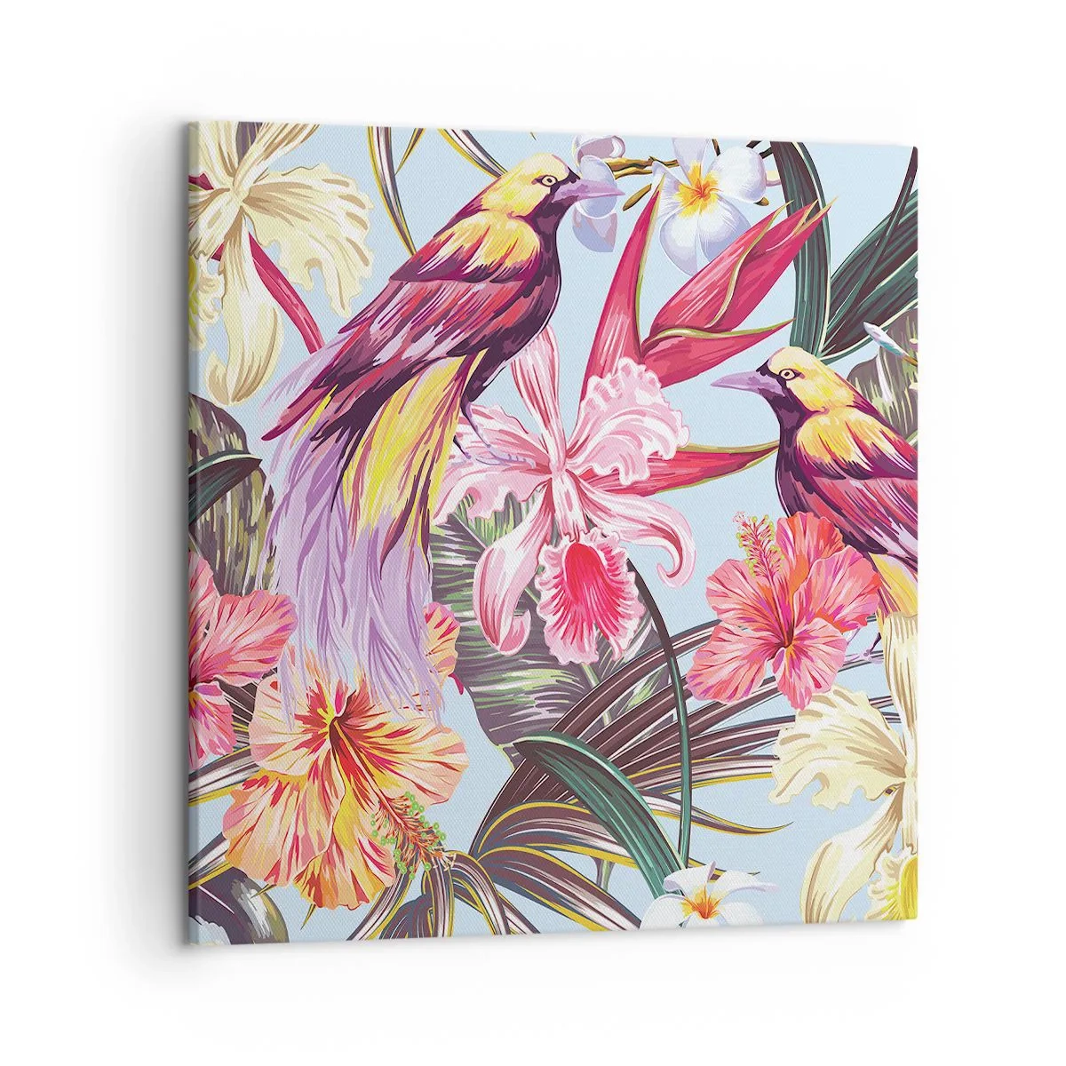 Bild auf Leinwand - Leinwandbild - Blütenblätter und Federn - 50x50 cm