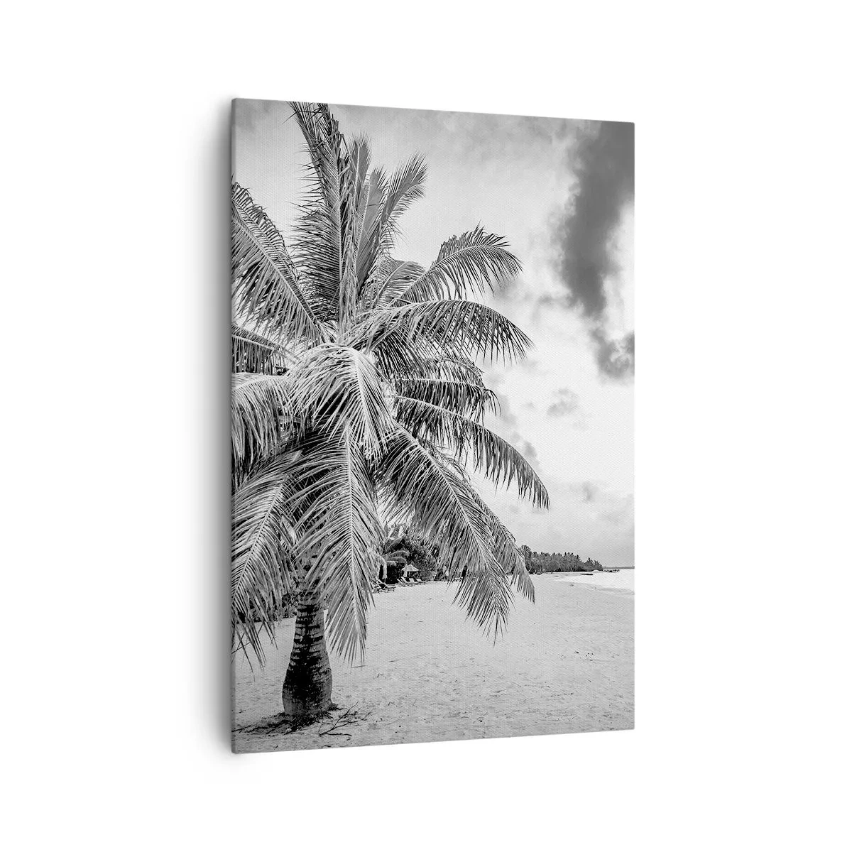 Bild auf Leinwand - Leinwandbild - Schwarz-weiße Palme an einem leeren Strand mit Wolken - 70x100cm - Wenn du dich nach Einsamkeit sehnst ... - Moderne Wanddekoration für Wohnzimmer und Schlafzimmer ARTTOR