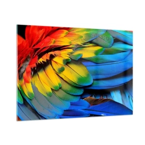 Glasbild - Bild auf glas - Bunte Papageienfedern in intensiven Regenbogenfarben - 100x70cm - Paradiesvogel - Moderne Wanddekoration für Wohnzimmer und Schlafzimmer ARTTOR
