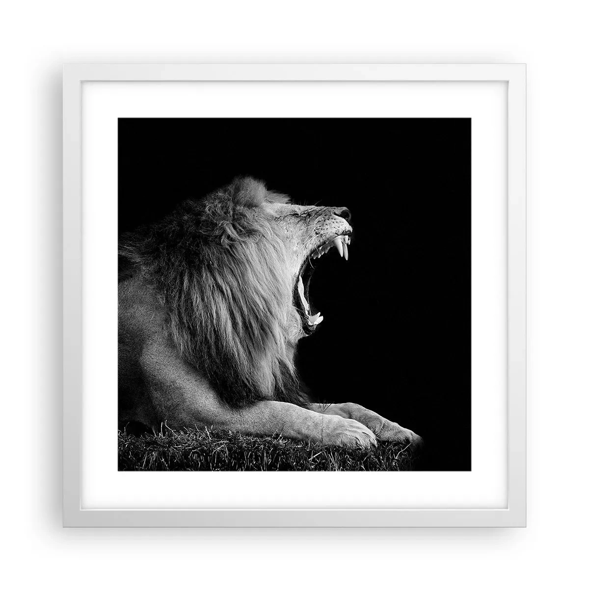 Poster in einem weißen Rahmen - Ohne Zweifel - 40x40 cm