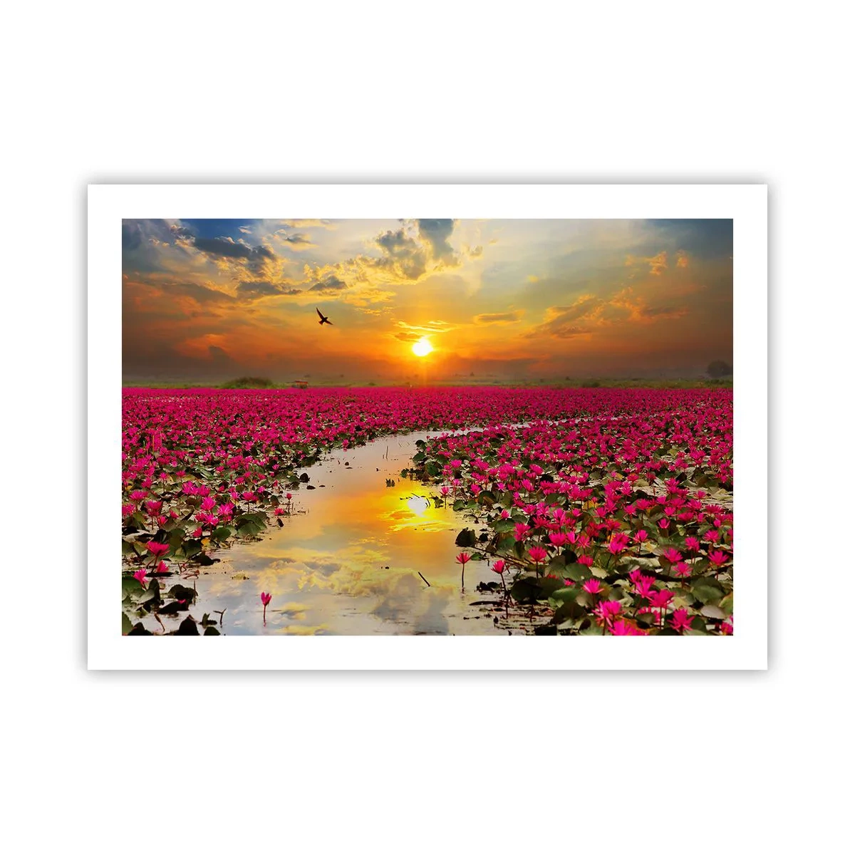 Poster - Das geheime Leben des Sees - 70x50 cm
