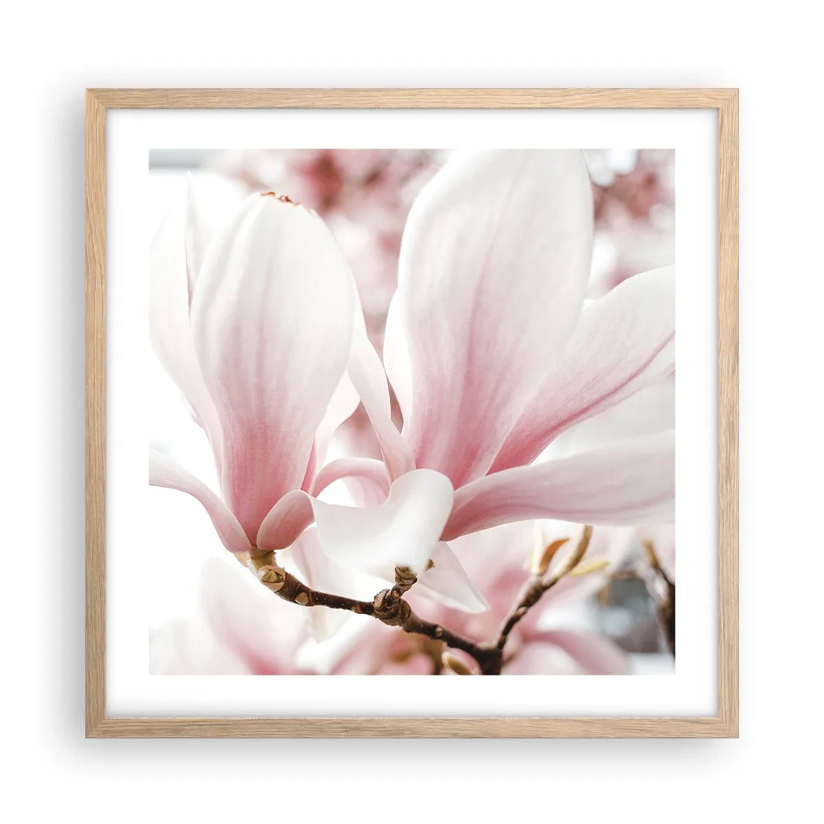 Poster in einem Rahmen aus heller Eiche - Eine Fülle von Zärtlichkeit - 50x50 cm