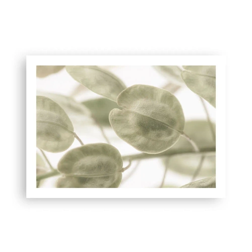 Poster - Am Anfang waren Blätter... - 70x50 cm