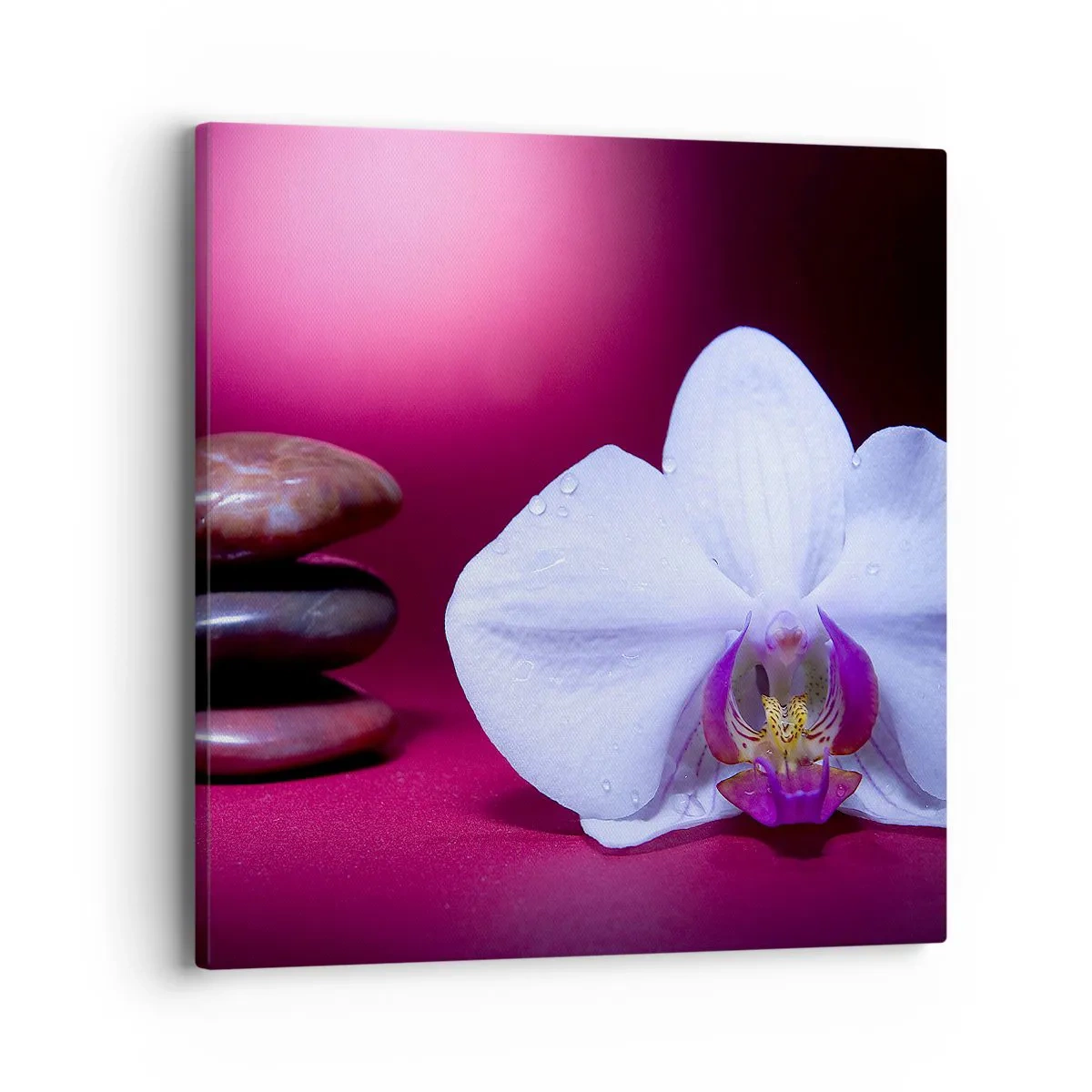 Bild auf Leinwand - Leinwandbild - Eine Studie der Frische in Lila - 40x40 cm