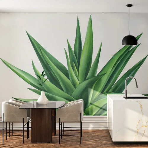 Selbstklebende Fototapete Deluxe Sticker - Grün – Kraft – Leben - Anlage, Aloe, Botanik - 250x175 cm