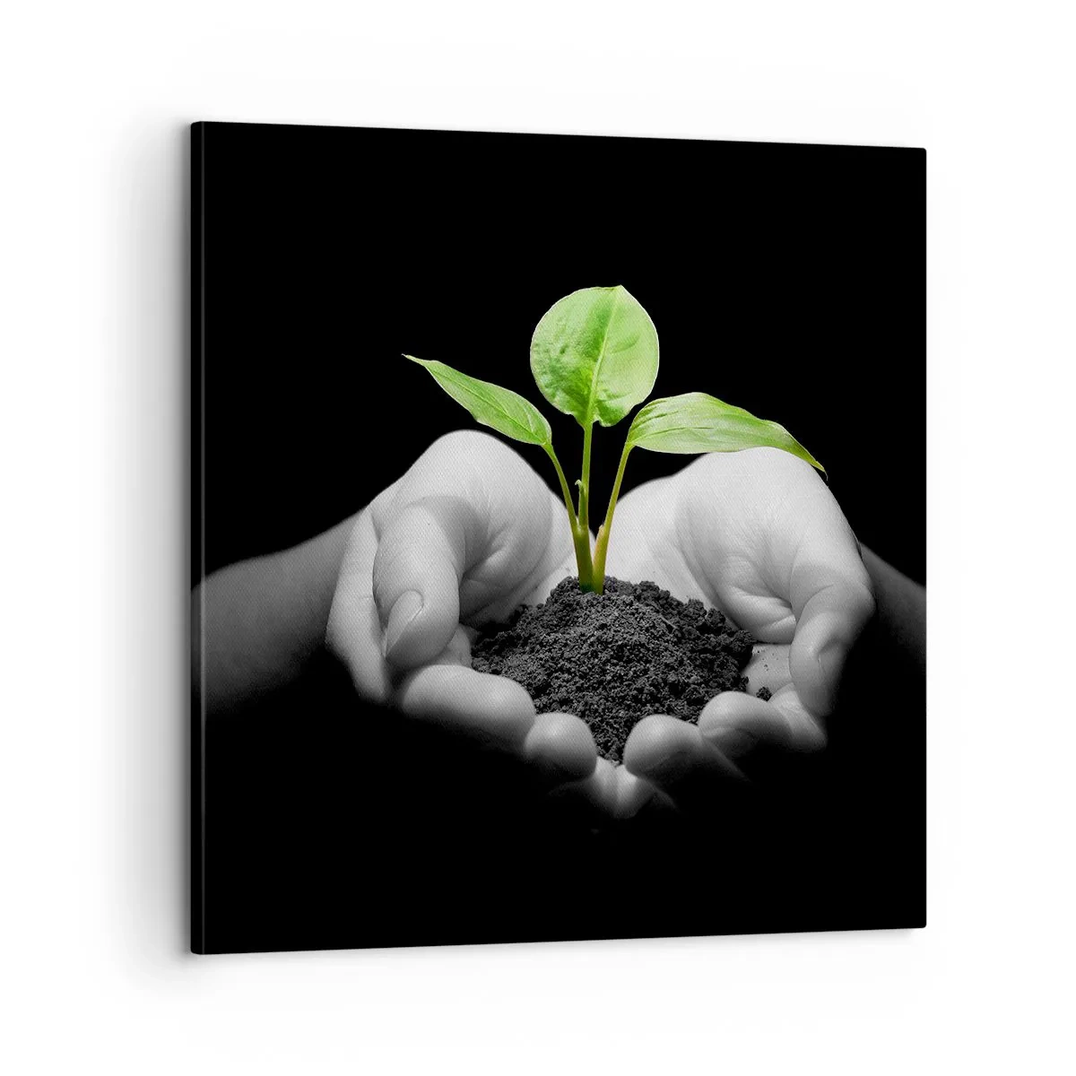 Bild auf Leinwand - Leinwandbild - Ich liebe die Natur, ich beschütze sie - 60x60 cm