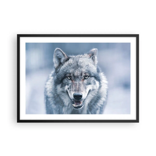 Poster in einem schwarzem Rahmen - Ein Wolf mit intensivem Blick in einer Winterlandschaft - 70x50cm - Werden Sie die Herausforderung annehmen? - Moderne Wanddekoration für Wohnzimmer und Schlafzimmer ARTTOR