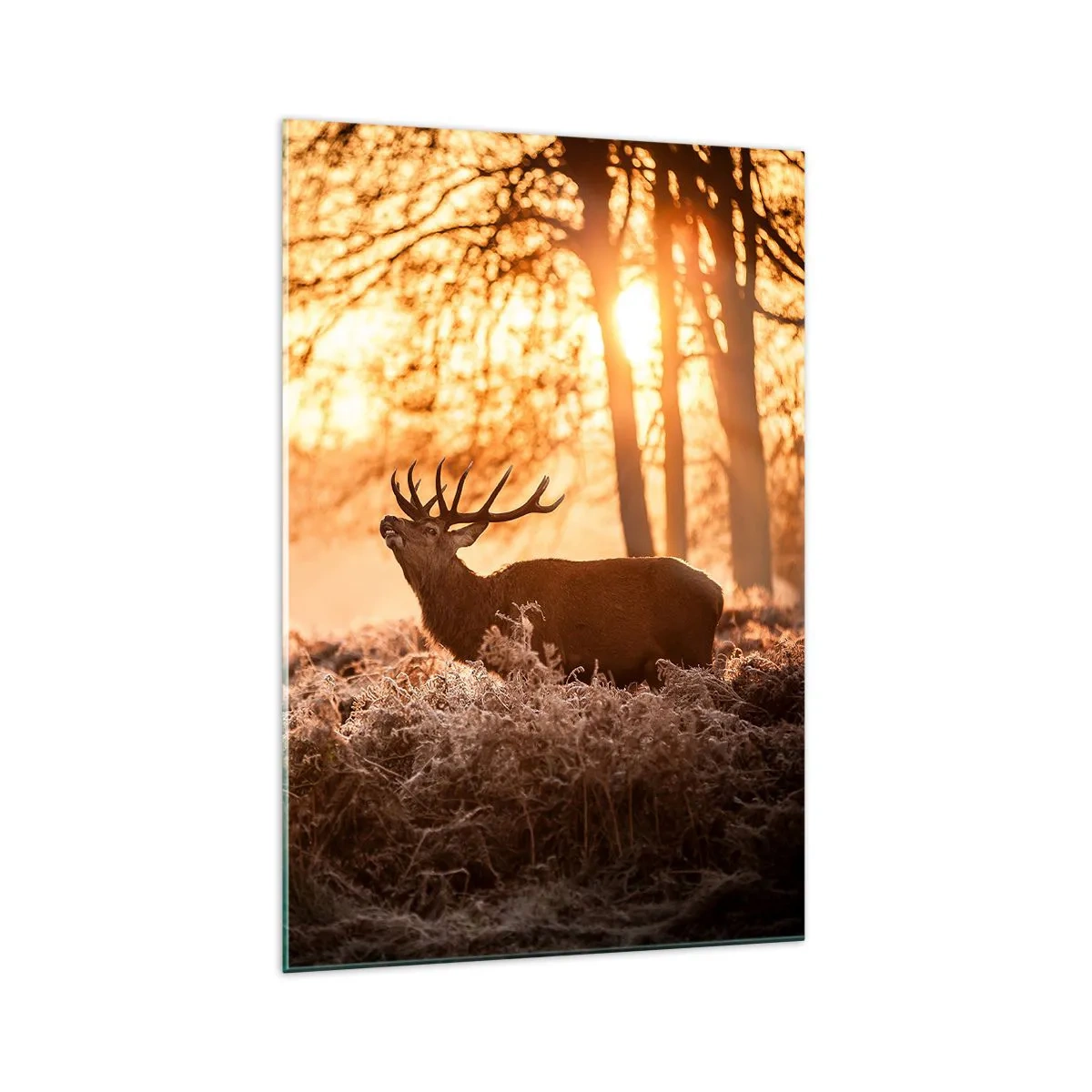 Glasbild - Bild auf glas - Zwei Hirsche bei Sonnenuntergang in einer Winterlandschaft - 70x100cm - Der Traum eines Jägers - Moderne Wanddekoration für Wohnzimmer und Schlafzimmer ARTTOR