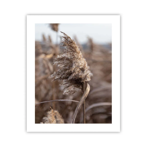 Poster - Zeit, mit dem Wind zu gehen - 40x50 cm