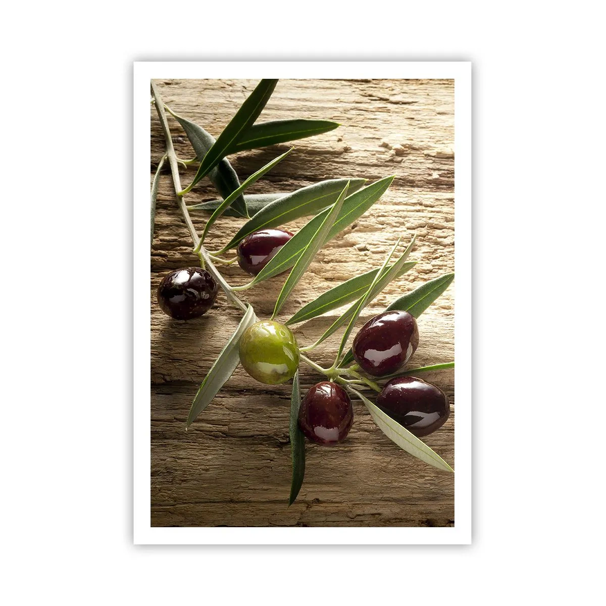 Poster - Direkt aus der Natur - 70x100 cm