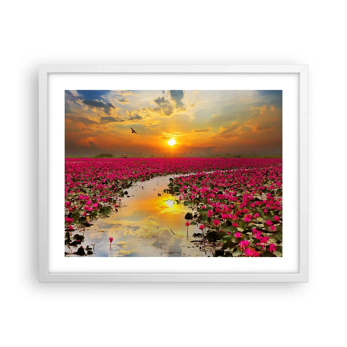 Poster in einem weißen Rahmen - Das geheime Leben des Sees - 50x40 cm