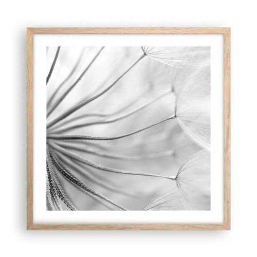Poster in einem Rahmen aus heller Eiche - Löwenzahn, Drachen - 50x50 cm