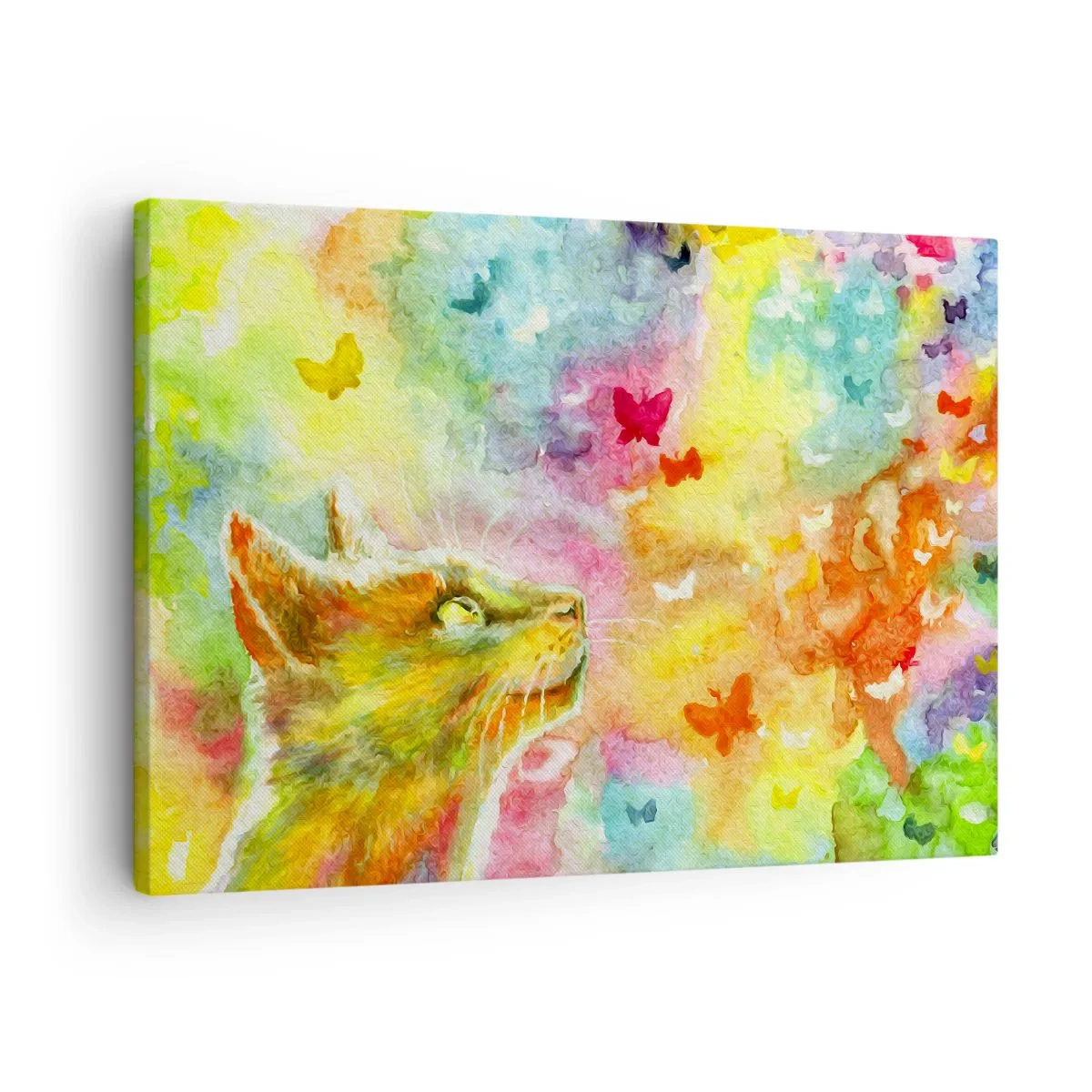 Bild auf Leinwand - Leinwandbild - Eine Katze umgeben von bunten Schmetterlingen - 70x50cm - Baju-baju im Katzenparadies - Moderne Wanddekoration für Wohnzimmer und Schlafzimmer ARTTOR