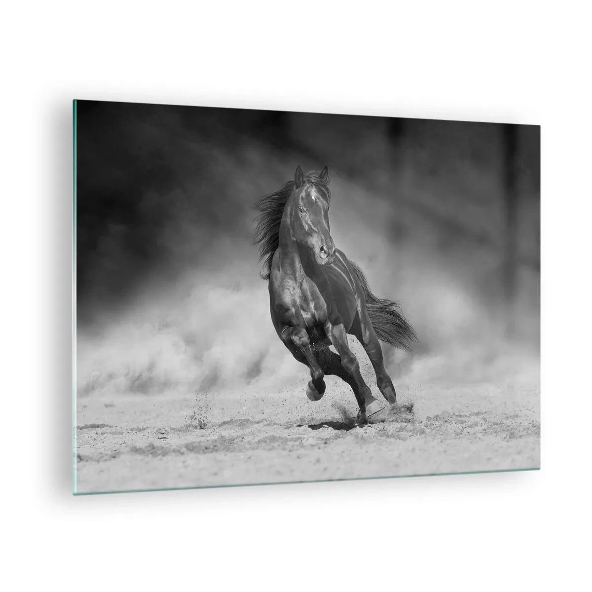 Glasbild - Bild auf glas - Ein schwarzes Pferd, das in Schwarz und Weiß über den Sand galoppiert. - 70x50cm - Würdig des Emirs selbst - Moderne Wanddekoration für Wohnzimmer und Schlafzimmer ARTTOR