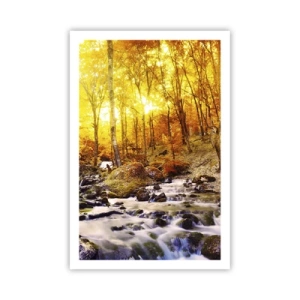 Poster - In Gold und Platin gefasste Steine - 61x91 cm