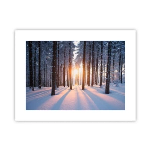 Poster - Ganz klar schwarz auf weiß - 40x30 cm