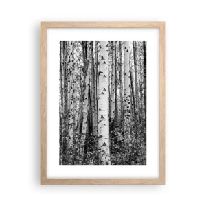 Poster in einem Rahmen aus heller Eiche - Birkenkolonnade - 30x40 cm