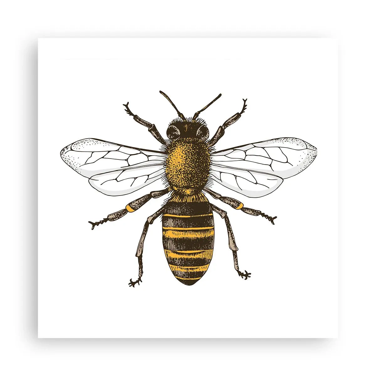 Poster - Schön und gut - 50x50 cm