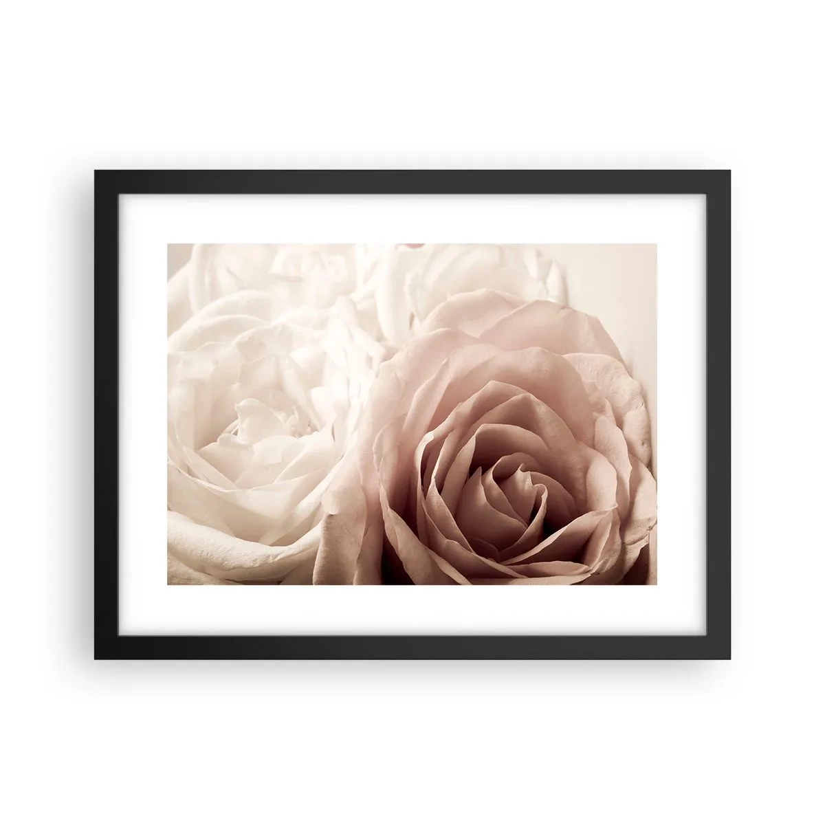 Poster in einem schwarzem Rahmen - Im Herzen der Rose - 40x30 cm