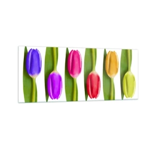 Glasbild - Bild auf glas - Regenbogenkomposition - 100x40 cm