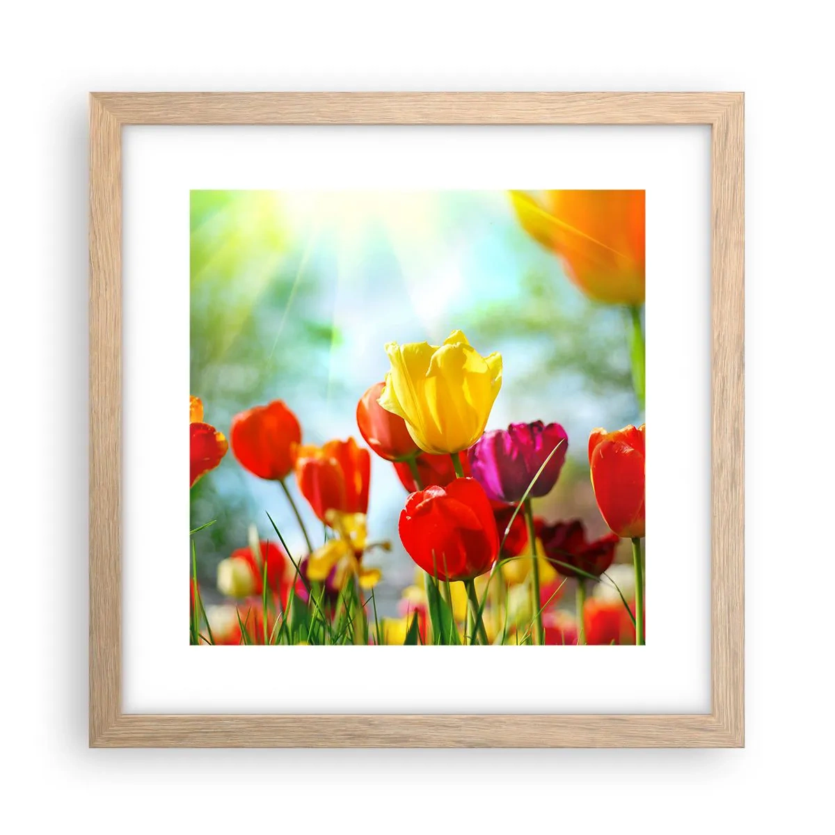 Poster in einem Rahmen aus heller Eiche - Alle Farben der Sonne - 30x30 cm