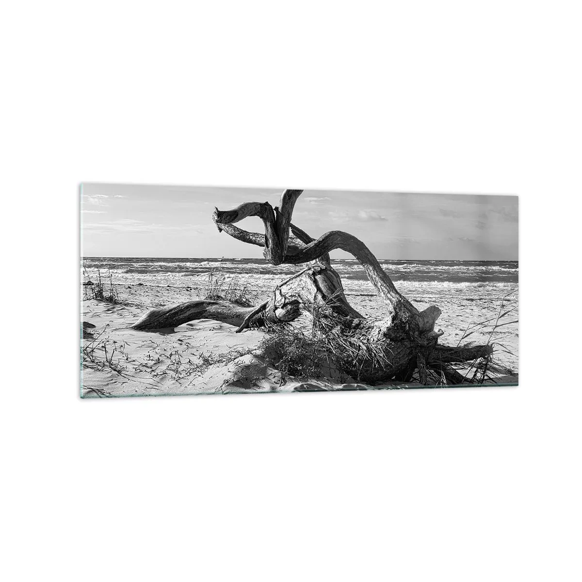 Glasbild - Bild auf glas - Schwarz-weiße Landschaft mit einem toten Baum am Strand - 120x50cm - Meeresskulptur - Moderne Wanddekoration für Wohnzimmer und Schlafzimmer ARTTOR