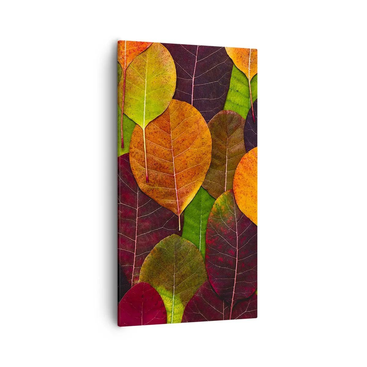 Bild auf Leinwand - Leinwandbild - Herbstmosaik - 55x100 cm