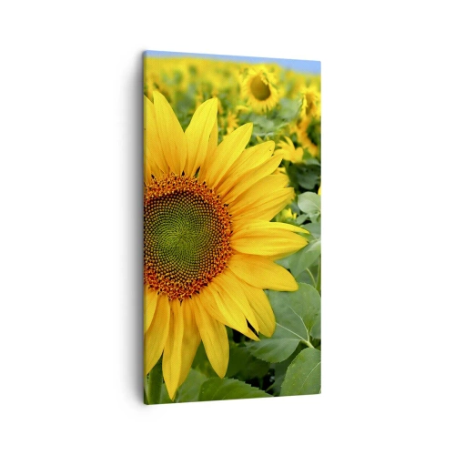 Bild auf Leinwand - Leinwandbild - Hunderte von Sonnen flammten auf - 45x80 cm