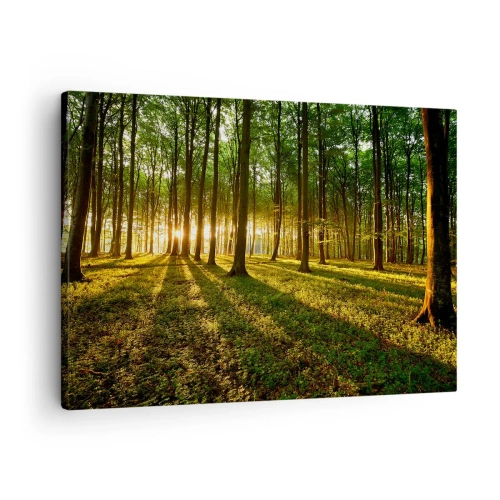 Bild auf Leinwand - Leinwandbild - Die untergehende Sonne im Laubwald - 70x50cm - Alle Frühlingsfotografie - Moderne Wanddekoration für Wohnzimmer und Schlafzimmer ARTTOR