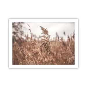 Poster - Auf den Feldern ist es schon Herbst - 70x50 cm